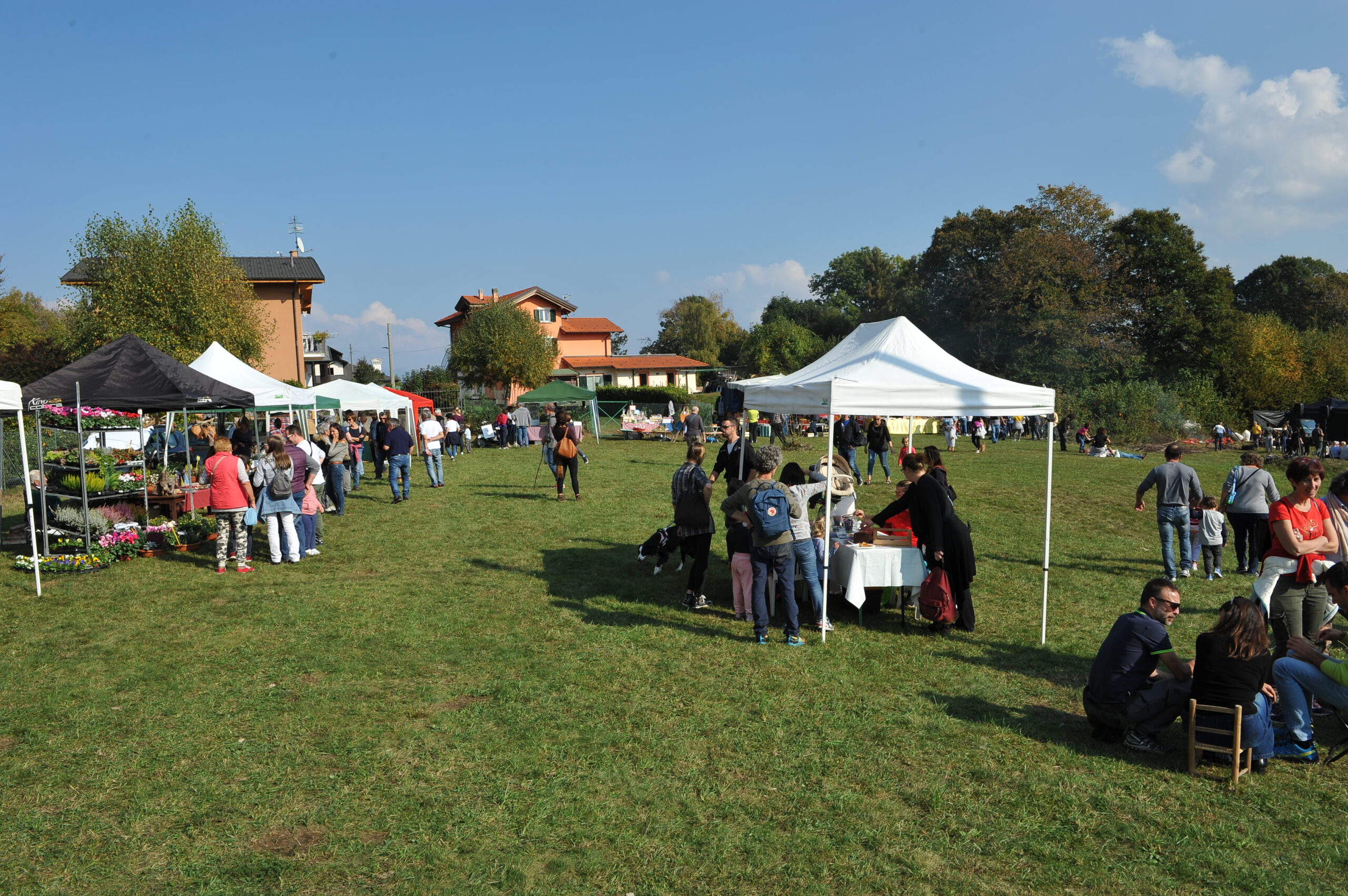 LA FIERA AGRICOLA DI OTTOBRE
