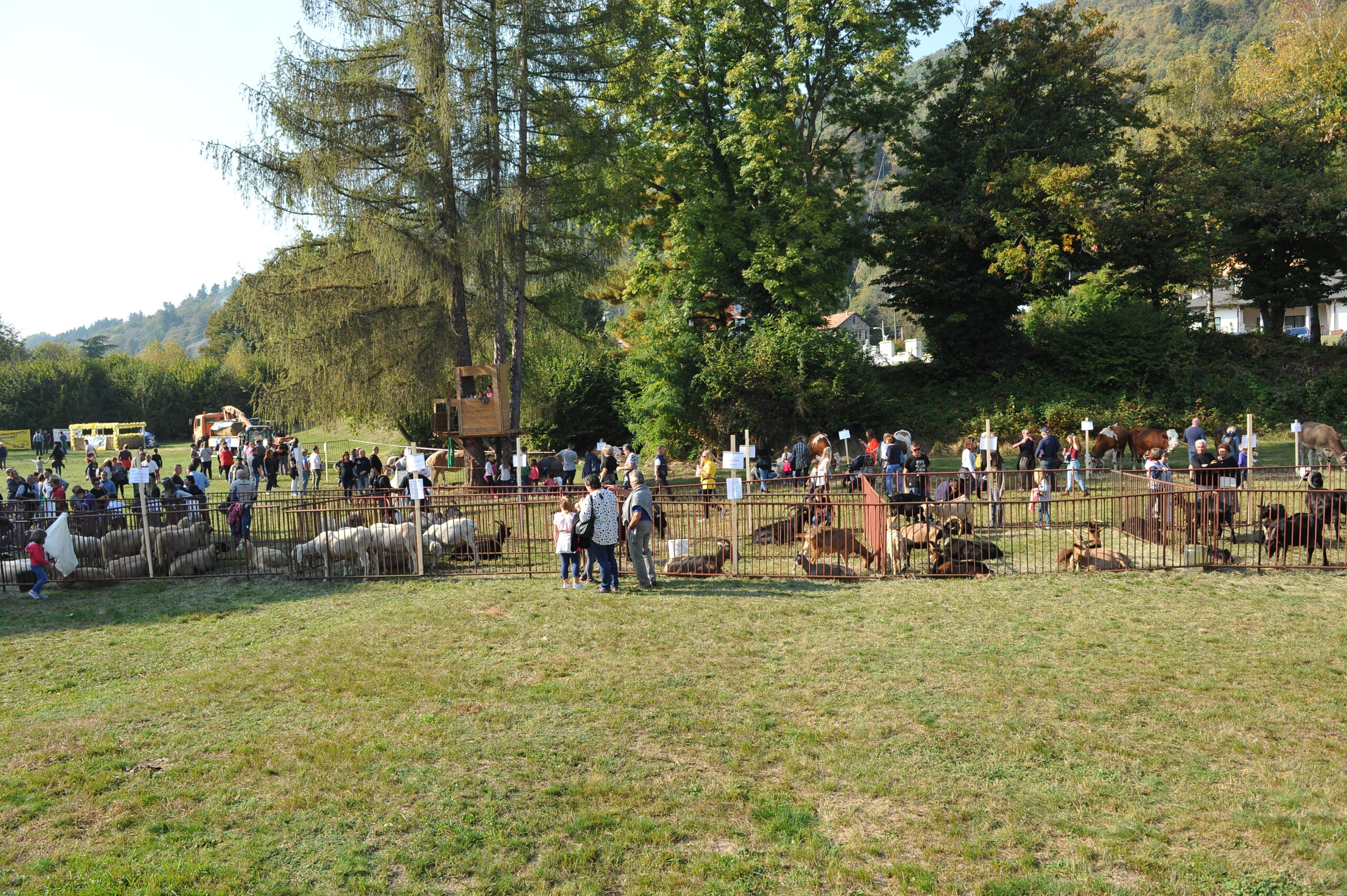 LA FIERA AGRICOLA DI OTTOBRE